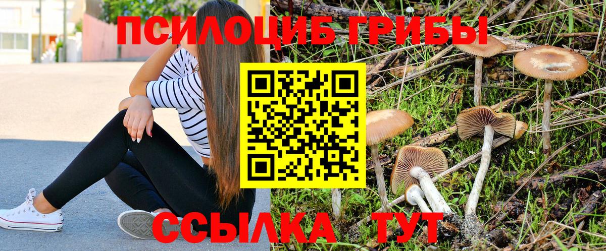 Псилоцибиновые грибы MAGIC MUSHROOMS Заводоуковск