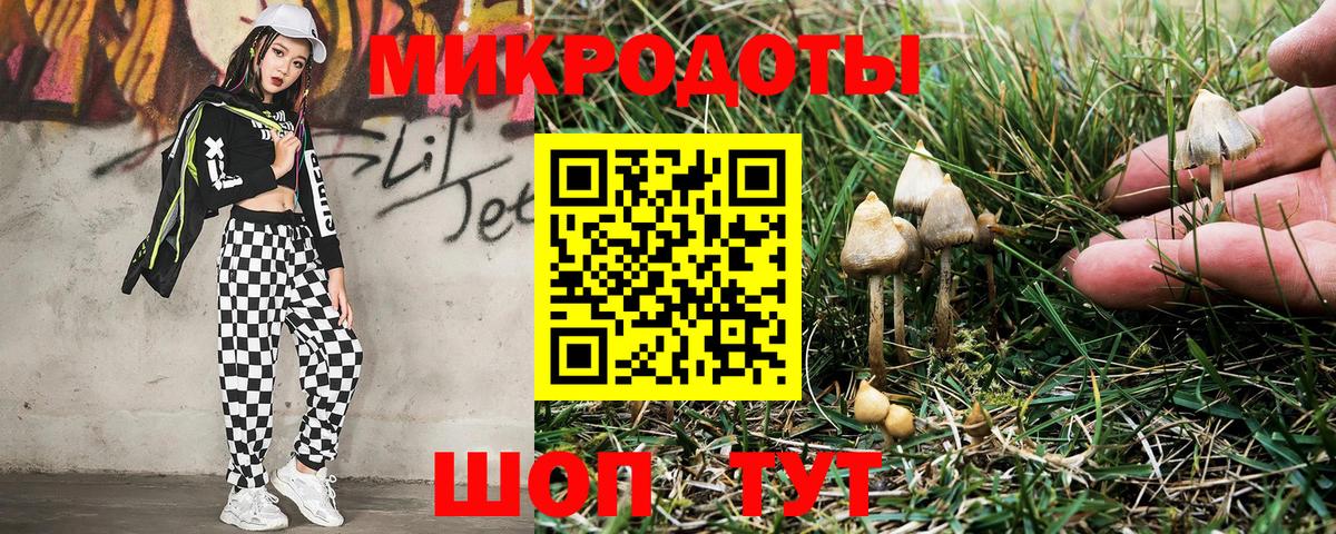Заводоуковск  Псилоцибиновые грибы прущие грибы  Вход с VPN 
