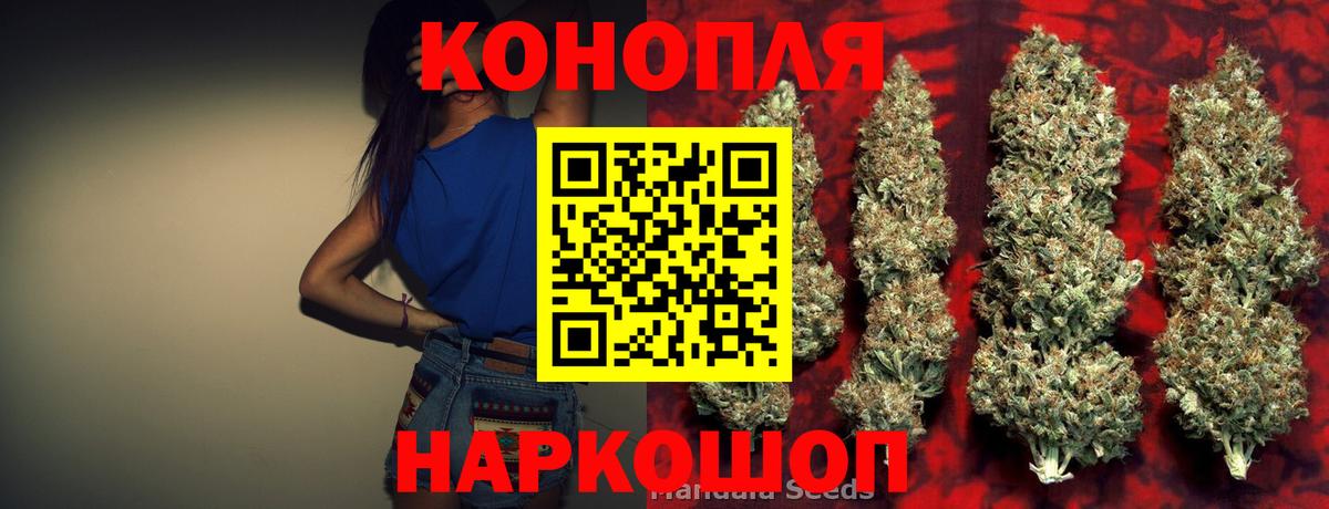 Канабис OG Kush Заводоуковск